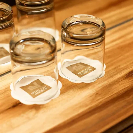 Hotel City Maribor Otel Maribor